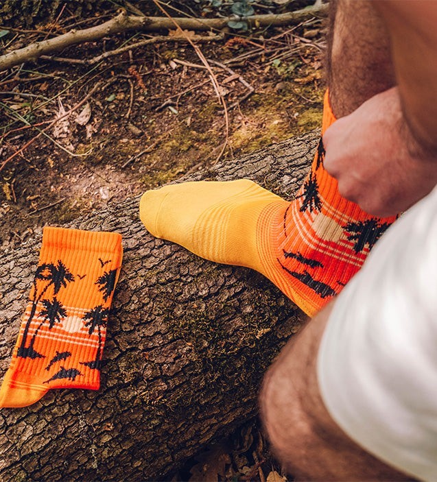Qorapa LaraLara crew socks featuring a tropical sunset, palm trees, and dolphins in orange and yellow on a log.